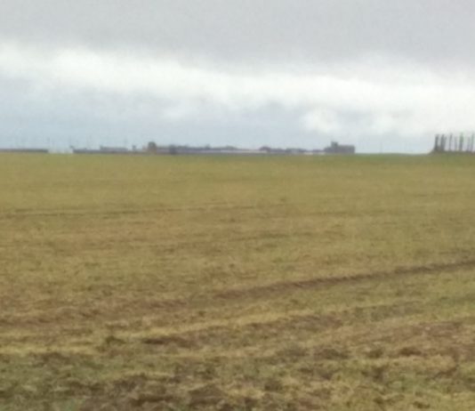 Abonos y gasóleo inflan el “IPC agrario” en el comienzo de la campaña de siembras