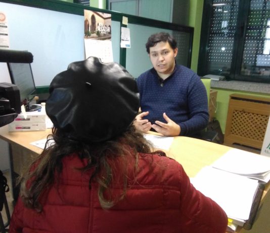 Campo abulense 15 de noviembre de 2018