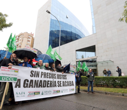 La lluvia no frena las protestas de los ganaderos de ovino de leche, que ven peligrar su supervivencia
