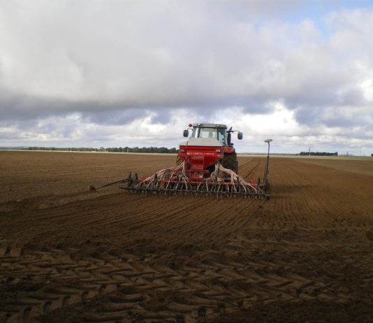 El campo de Castilla y León afronta la última semana de noviembre con la mitad de la superficie de cereal sin sembrar