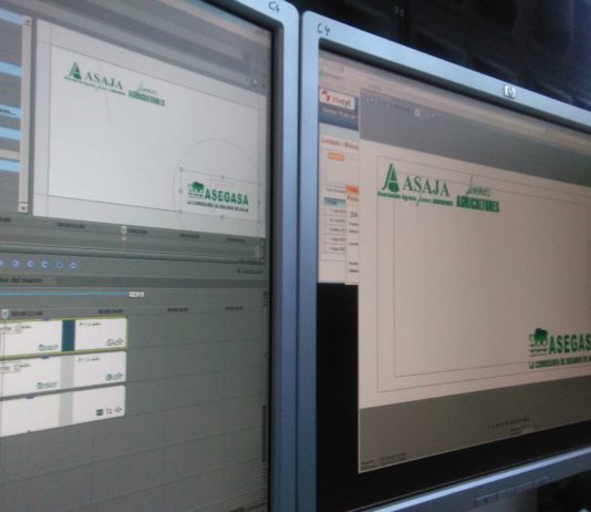 Campo Abulense 29 de noviembre de 2018