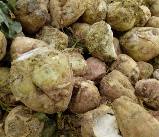 Las organizaciones agrarias solicitan la convocatoria urgente de la mesa nacional del AMI