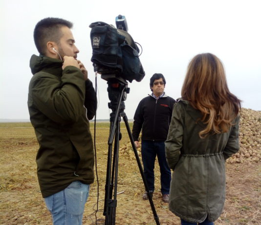 Campo abulense 10 de enero de 2019