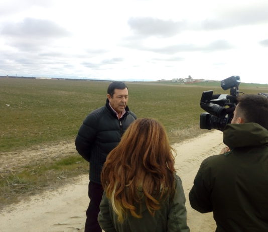 Campo Abulense 24 de enero de 2019