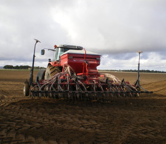 Los cereales de invierno verán recortada la superficie de cultivo nacional en casi 300.000 hectáreas