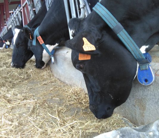 ASAJA recuerda a los consumidores que desde mañana pueden exigir leche y lácteos con “Origen España”