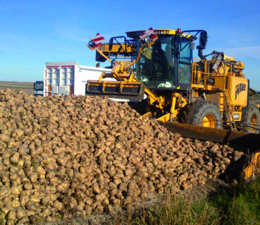 El compromiso de pago de la ayuda de la Junta al sector remolachero llega con 7 años de retraso