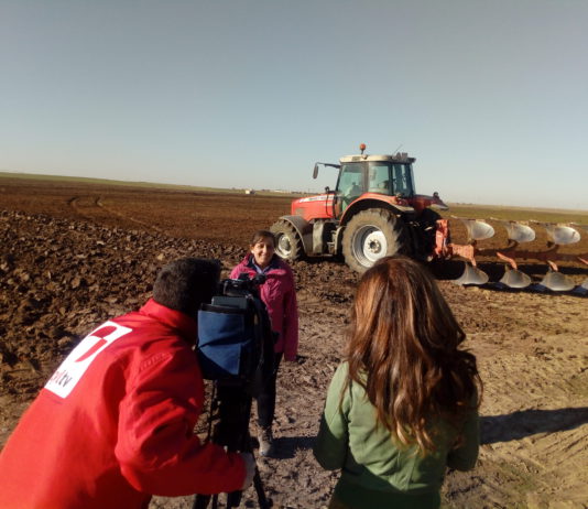 Campo Abulense 21 de febrero de 2019