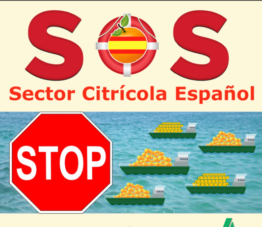 ASAJA en contra de la desproporcionada subida del coste del seguro de cítricos