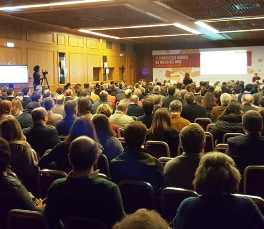 ASAJA pide medidas de ámbito político y económico para propiciar el avance del cultivo del maíz, principal alternativa para el regadío