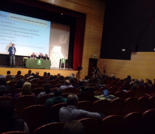 Campo Abulense 7 de marzo de 2019