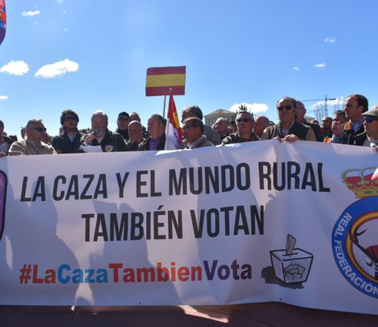 Las Cortes salvan la campaña de caza en Castilla y León, al menos por el momento