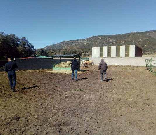 Campo Abulense 21 de marzo de 2019