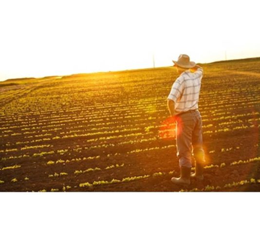 ASAJA consigue que los agricultores que optaron al cese anticipado no dejen de recibir ayuda, aunque se posponga la edad de jubilación
