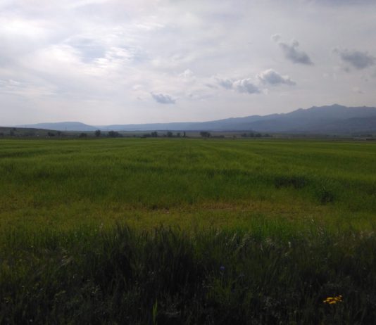 ASAJA critica que Agroseguro proponga cambios que implicarían incrementos desmesurados en las principales líneas para Castilla y León