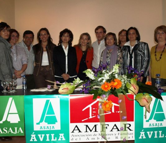 Presentación AMFAR mayo de 2009