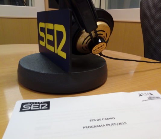 Ser de Campo 9 de mayo de 2019