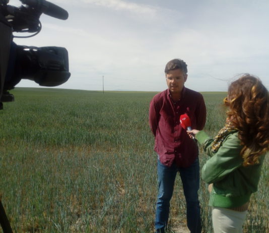 Campo Abulense 16 de mayo de 2019