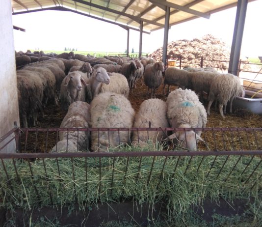Hacienda ignora casi por completo las peticiones del campo de Castilla y León para reducir los módulos fiscales