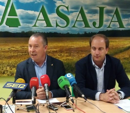ASAJA cifra en 40 millones de euros las pérdidas en la provincia de Ávila a consecuencia de la sequía