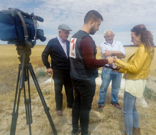 Campo Abulense 13 de junio de 2019