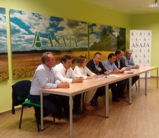 Campo Abulense 27 de junio de 2019