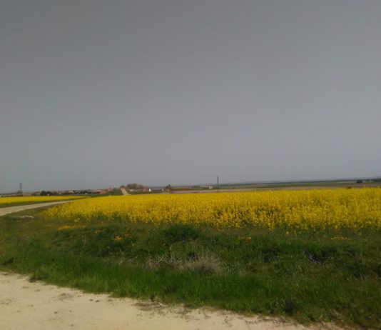 ASAJA denuncia ante la Consejería de transparencia la creación y funcionamiento de la «Red de Agentes de innovación rural» en Castilla y León