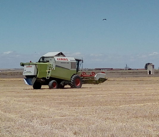 Campo Abulense 11 de julio de 2019