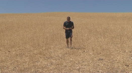 Campo Abulense 8 de agosto de 2019