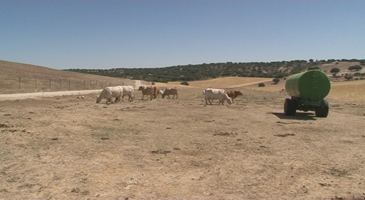 ASAJA pide presupuesto y plazo amplios para atender todas las solicitudes de ayudas para el suministro de agua en explotaciones ganaderas de extensivo