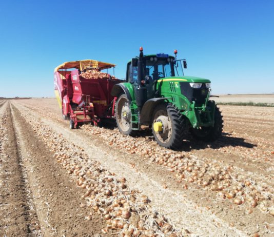 Campo Abulense 5 de septiembre de 2019