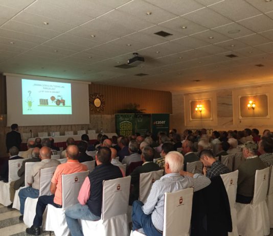 Campo Abulense 3 de octubre de 2019