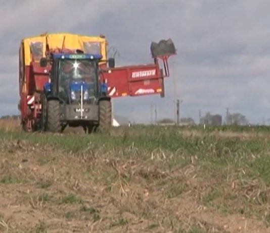 Campo Abulense 17 de octubre de 2019
