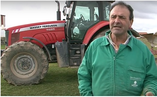 Campo Abulense 28 de noviembre de 2019