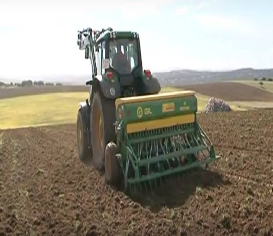 Campo Abulense 14 de noviembre de 2019