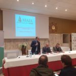 foto porcino arevalo 2