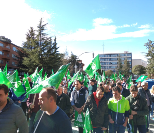 Campo abulense 06 de febrero de 2020