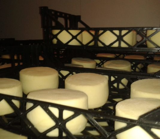 Las medidas de apoyo al sector agrario adoptadas por Bruselas deben tener mayor ambición presupuestaria y ser complementadas por el Gobierno de España