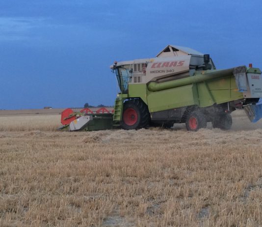 ASAJA ve signos de mejoría en los mercados internacionales del cereal y pide prudencia a los agricultores a la hora de vender en cosecha