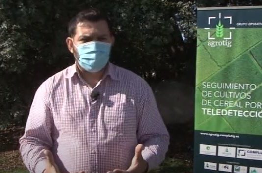 Campo Abulense 23 de julio de 2020