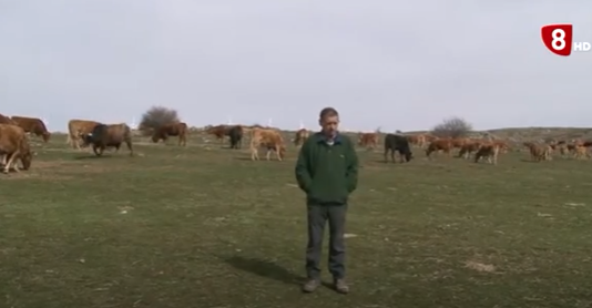 Campo Abulense 11 de marzo de 2021