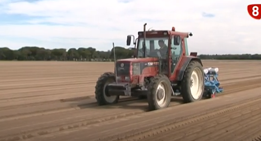 Campo Abulense 29 de octubre de 2020