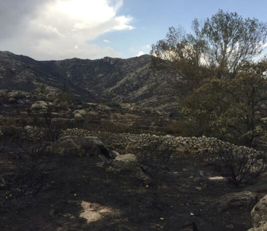 ASAJA logra que se levante el acotamiento de pastos tras el incendio forestal de Navalacruz