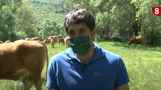 Campo Abulense 6 de mayo de 2021