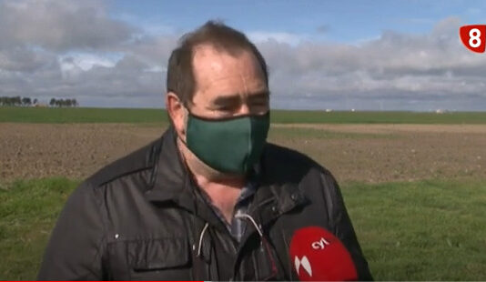 Campo Abulense 11 de febrero de 2021