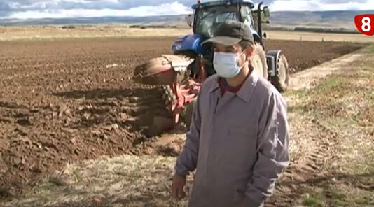 Campo Abulense 12 de noviembre de 2020