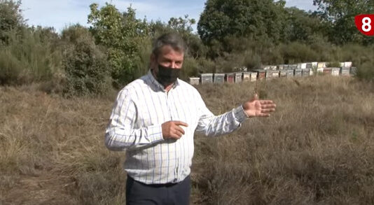 Campo Abulense 18 de noviembre de 2021