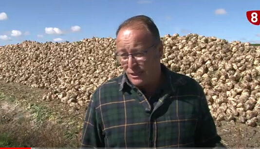 Campo Abulense 21 de octubre de 2021