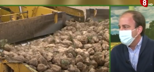 Campo Abulense 25 de marzo de 2021