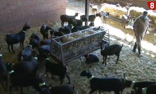 Campo Abulense 26 de noviembre de 2020